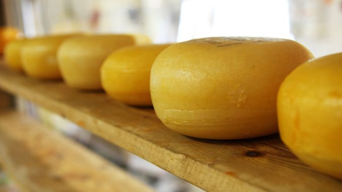 cheese-2785_1920 edamer gouda ostar holland