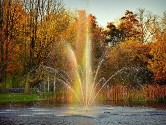 bilden föreställer Vondelpark Amsterdam